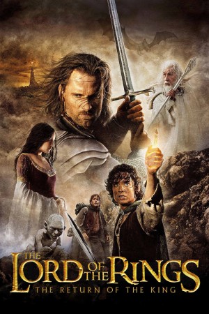 Lord of the Rings: The Return of the King: Special Extended DVD Edition