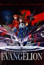 Neon Genesis Evangelion: Perfect Collection